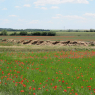 18-05-2011 (Airvault - Dompierre-sur-Mer), 2ème jour