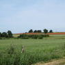 22-05-2011 (Rochefort-en-Terre - Pruillé), 6ème jour