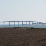 Pont de l'île de Ré