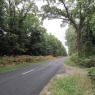 Forêt domaniale de Châtellerault