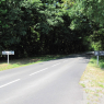 Forêt de Juigné