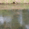 DSCN4924