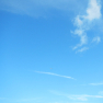 DSCN4946