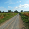 DSCN4948