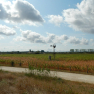 DSCN4950