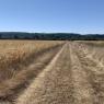 11-08-2022 (Vendôme - Cloyes-sur-le-Loir), 4ème jour