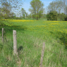 Tours - Bouchemaine (II)