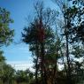 04-10-2014 (Tours - Bracieux), 1er jour