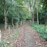 Tours - Bracieux