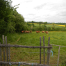 Tours - Parthenay