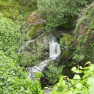 DSCN0868