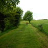 DSCN0870