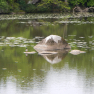 DSCN0873