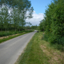DSCN0918