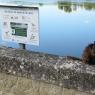 Tours - Saumur