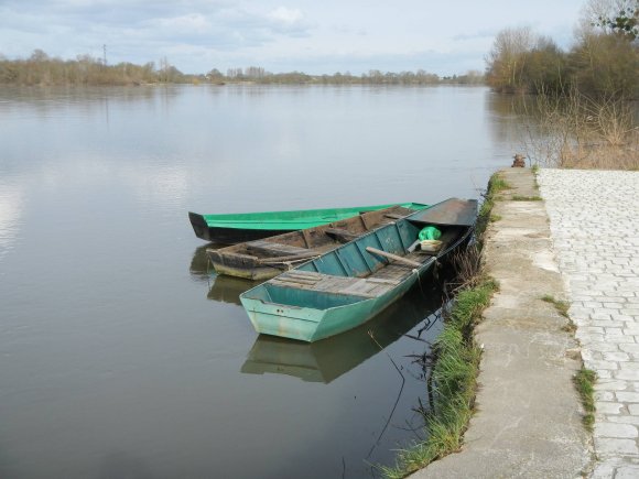 Barques vertes