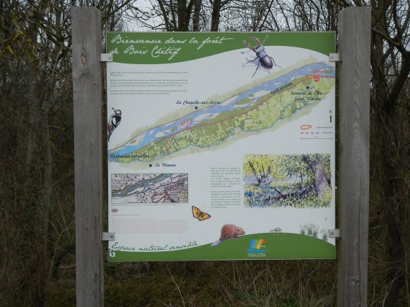 Bienvenue dans la forêt de Bois Chétif