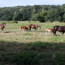 IMG_20180624_093314